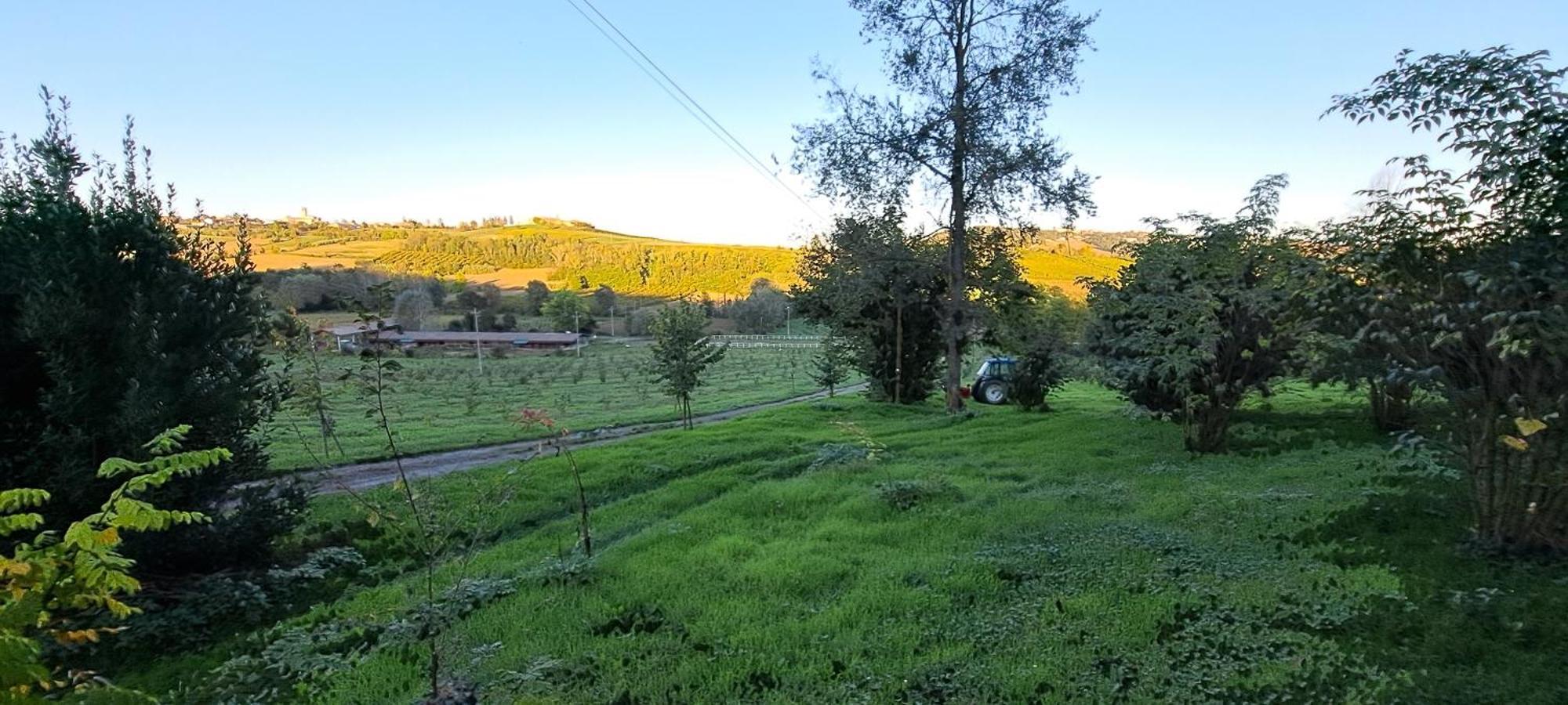 Вілла Cascina Fazioli Alfiano Natta Екстер'єр фото