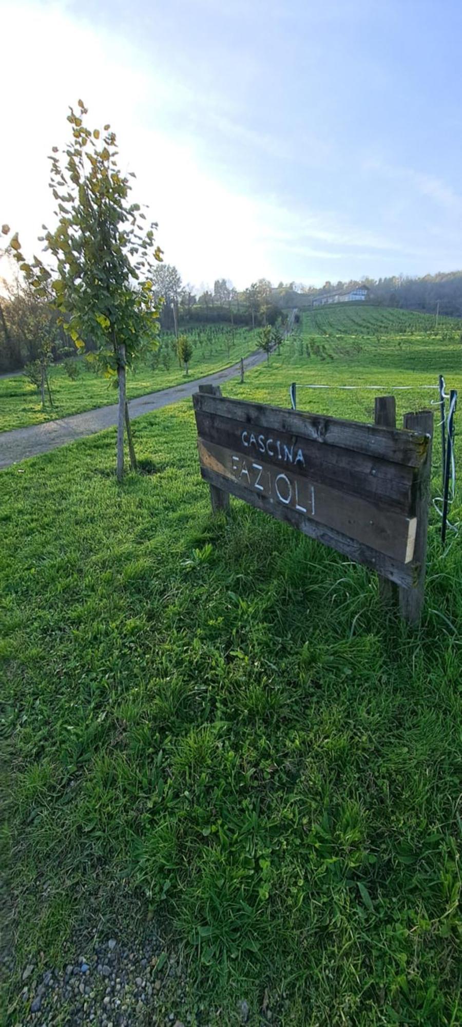 Вілла Cascina Fazioli Alfiano Natta Екстер'єр фото