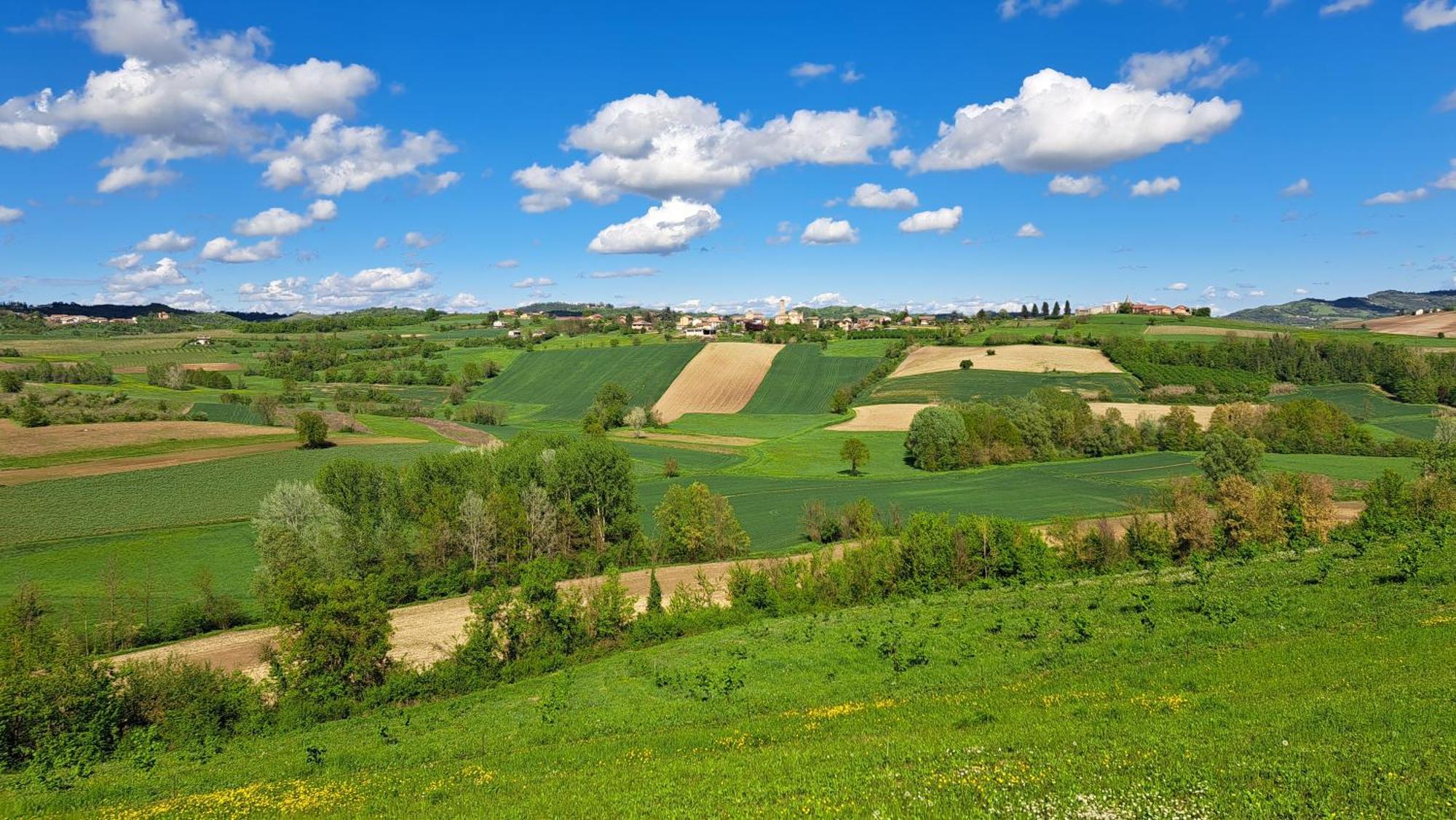 Вілла Cascina Fazioli Alfiano Natta Екстер'єр фото